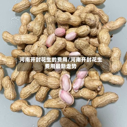 河南开封花生的费用/河南开封花生费用最新走势