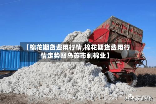 【棉花期货费用行情,棉花期货费用行情走势图乌苏市剩棉业】
