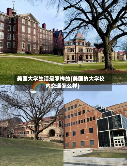 美国大学生活是怎样的(美国的大学校内交通怎么样)-第2张图片