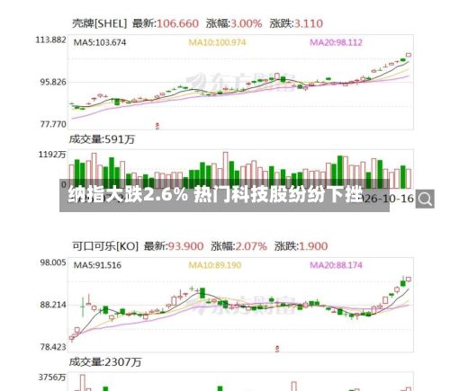 纳指大跌2.6% 热门科技股纷纷下挫