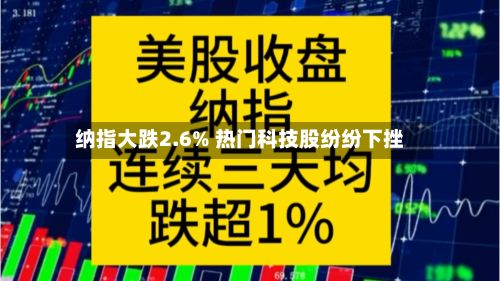 纳指大跌2.6% 热门科技股纷纷下挫-第2张图片
