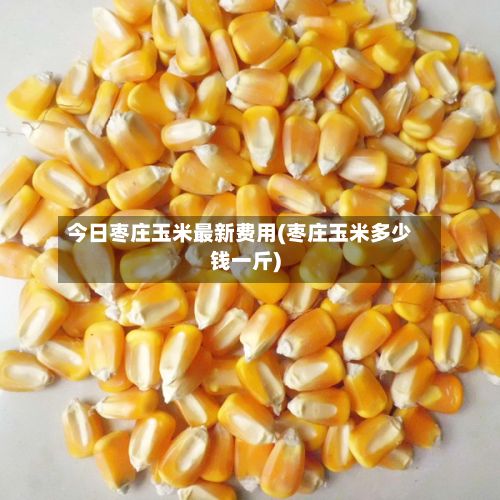 今日枣庄玉米最新费用(枣庄玉米多少钱一斤)-第2张图片