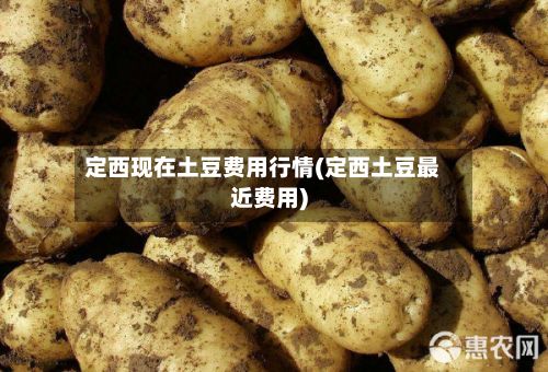 定西现在土豆费用行情(定西土豆最近费用)