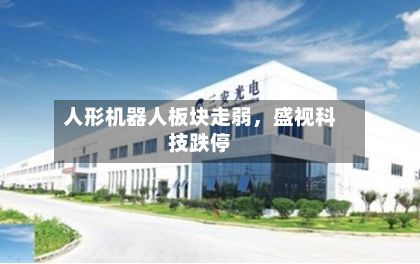 人形机器人板块走弱	，盛视科技跌停-第1张图片