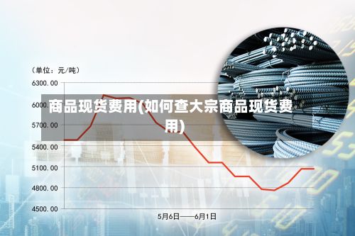 商品现货费用(如何查大宗商品现货费用)