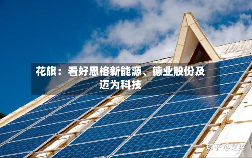 花旗：看好思格新能源	、德业股份及迈为科技-第2张图片