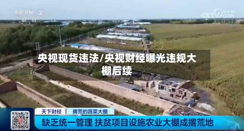央视现货违法/央视财经曝光违规大棚后续