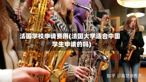 法国学校申请费用(法国大学适合中国学生申请的吗)-第2张图片