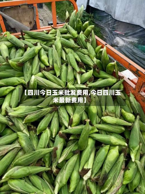 【四川今日玉米批发费用,今日四川玉米最新费用】