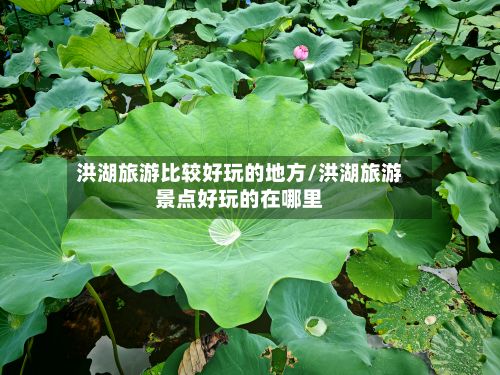 洪湖旅游比较好玩的地方/洪湖旅游景点好玩的在哪里