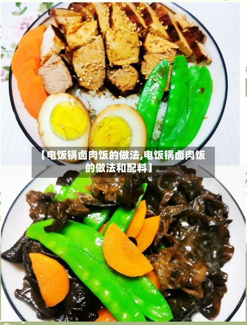 【电饭锅卤肉饭的做法,电饭锅卤肉饭的做法和配料】
