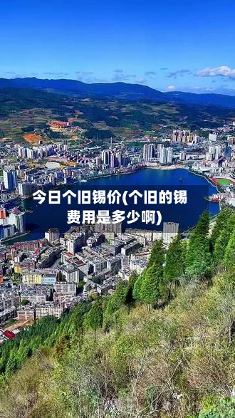 今日个旧锡价(个旧的锡费用是多少啊)
