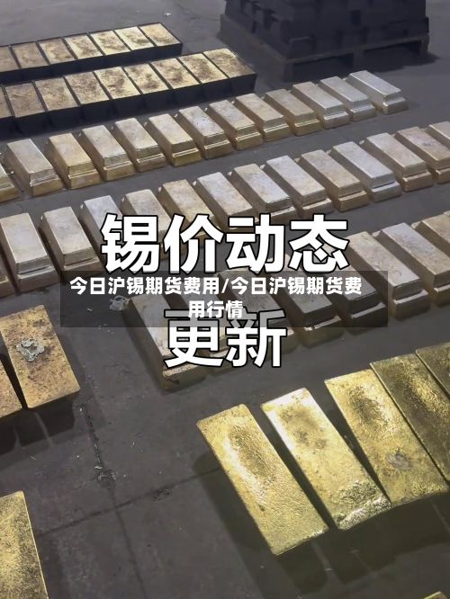 今日沪锡期货费用/今日沪锡期货费用行情