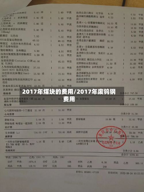 2017年煤块的费用/2017年废钨钢费用