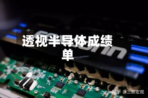 透视半导体成绩单