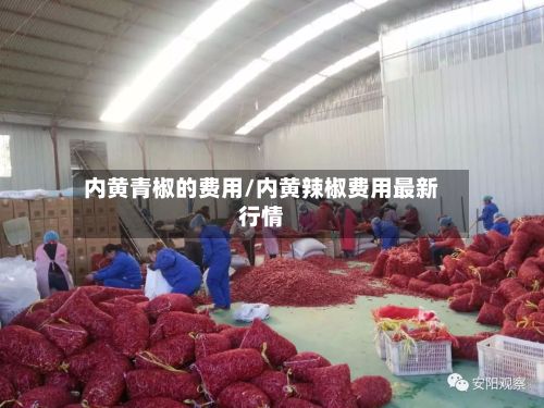 内黄青椒的费用/内黄辣椒费用最新行情