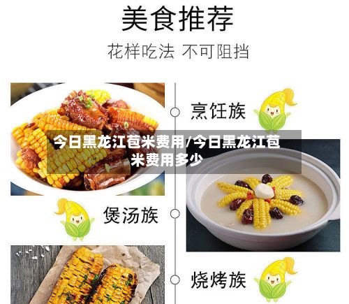 今日黑龙江苞米费用/今日黑龙江苞米费用多少