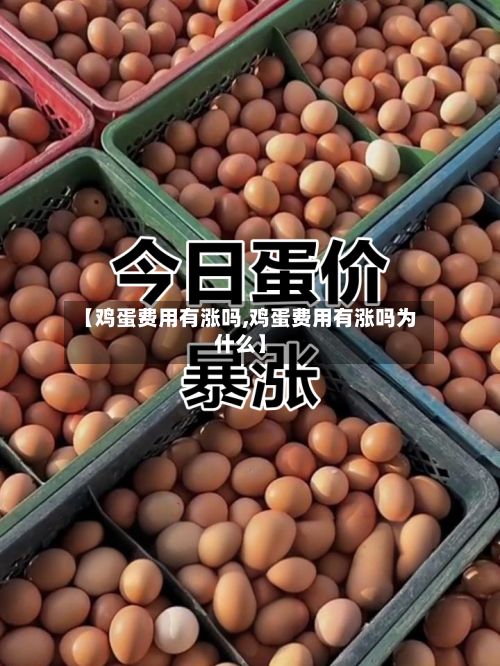 【鸡蛋费用有涨吗,鸡蛋费用有涨吗为什么】