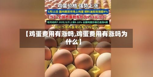 【鸡蛋费用有涨吗,鸡蛋费用有涨吗为什么】-第3张图片