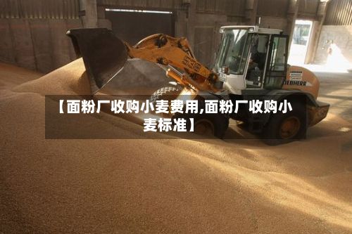 【面粉厂收购小麦费用,面粉厂收购小麦标准】