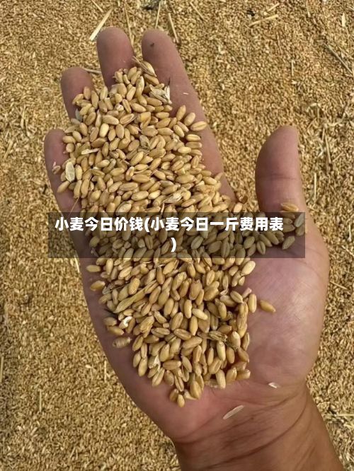 小麦今日价钱(小麦今日一斤费用表)-第3张图片