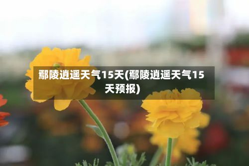 鄢陵逍遥天气15天(鄢陵逍遥天气15天预报)-第2张图片