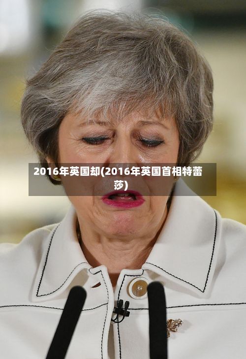 2016年英国却(2016年英国首相特蕾莎)