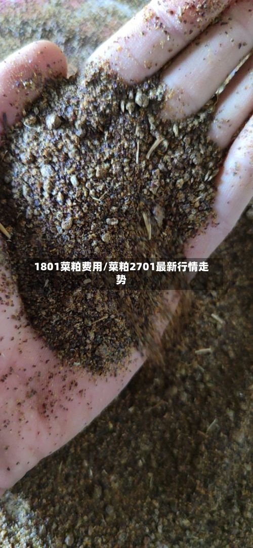 1801菜粕费用/菜粕2701最新行情走势-第2张图片