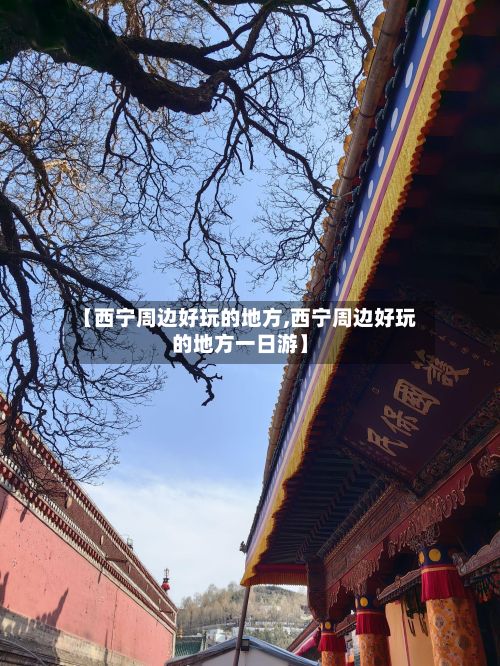 【西宁周边好玩的地方,西宁周边好玩的地方一日游】