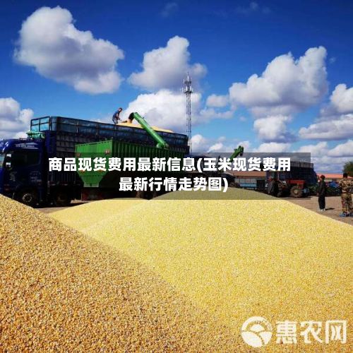 商品现货费用最新信息(玉米现货费用最新行情走势图)-第3张图片