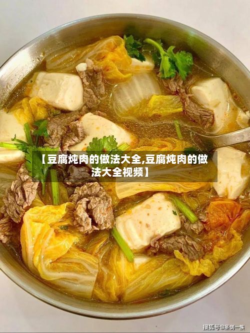 【豆腐炖肉的做法大全,豆腐炖肉的做法大全视频】