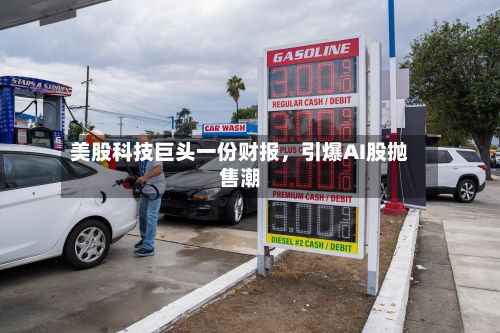 美股科技巨头一份财报，引爆AI股抛售潮-第3张图片