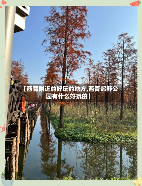 【西青附近的好玩的地方,西青郊野公园有什么好玩的】-第2张图片