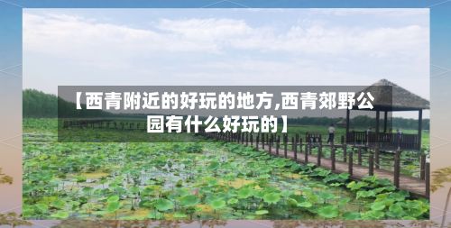 【西青附近的好玩的地方,西青郊野公园有什么好玩的】-第3张图片