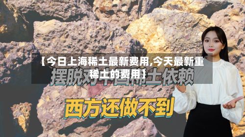 【今日上海稀土最新费用,今天最新重稀土的费用】-第2张图片