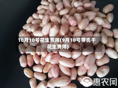 10月10号花生费用(9月10号带壳干花生费用)