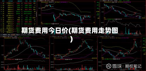 期货费用今日价(期货费用走势图)-第2张图片
