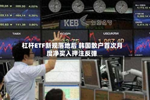 杠杆ETF新规落地后 韩国散户首次月度净买入押注反弹-第2张图片