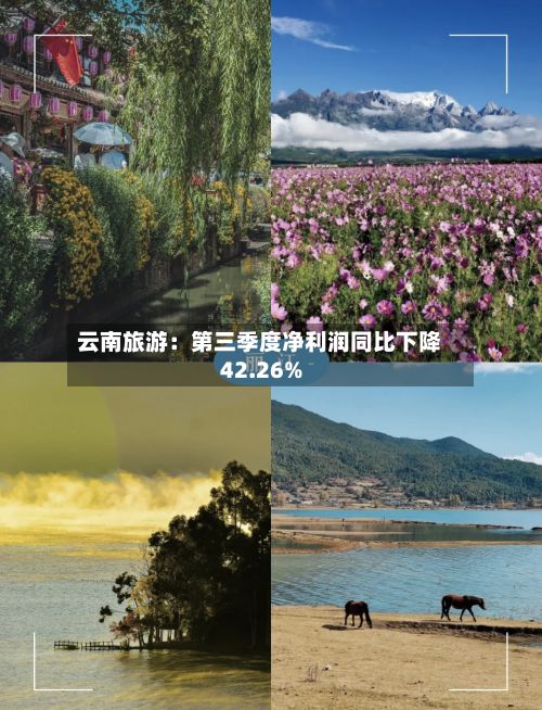 云南旅游：第三季度净利润同比下降42.26%