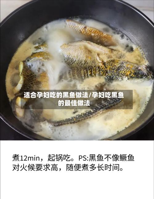 适合孕妇吃的黑鱼做法/孕妇吃黑鱼的最佳做法-第2张图片