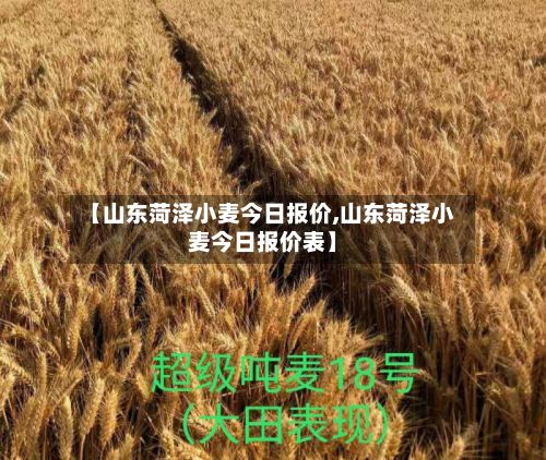 【山东菏泽小麦今日报价,山东菏泽小麦今日报价表】-第2张图片