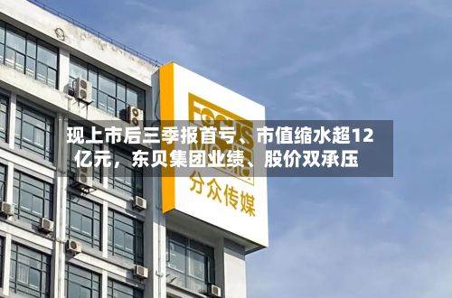 现上市后三季报首亏、市值缩水超12亿元	，东贝集团业绩、股价双承压-第2张图片