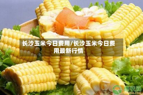 长沙玉米今日费用/长沙玉米今日费用最新行情