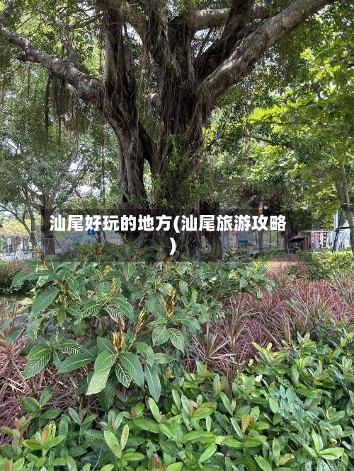 汕尾好玩的地方(汕尾旅游攻略)