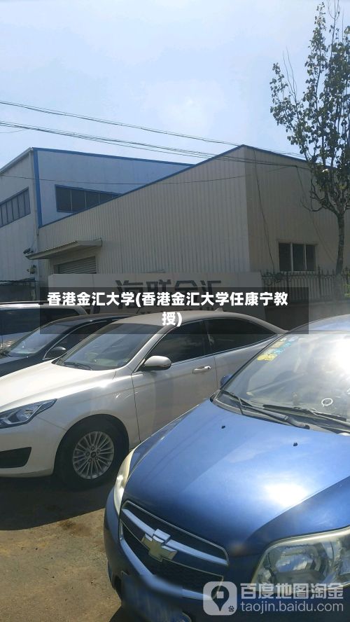 香港金汇大学(香港金汇大学任康宁教授)