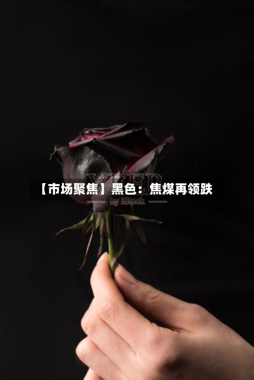 【市场聚焦】黑色:焦煤再领跌-第2张图片