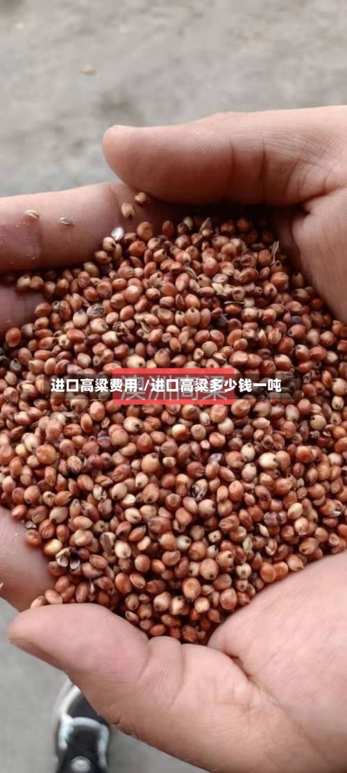 进口高粱费用./进口高粱多少钱一吨