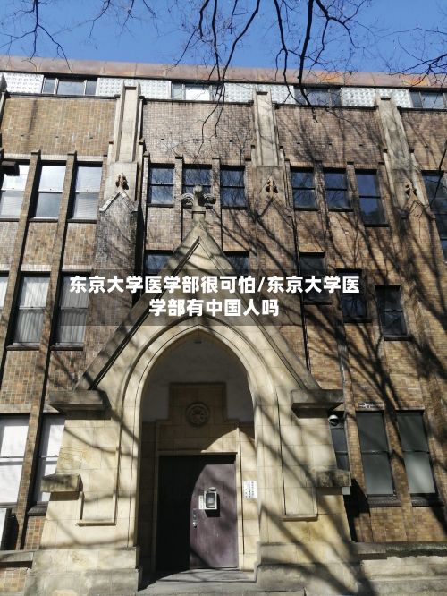 东京大学医学部很可怕/东京大学医学部有中国人吗-第2张图片