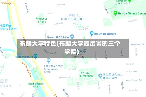 布朗大学特色(布朗大学最厉害的三个学院)-第2张图片