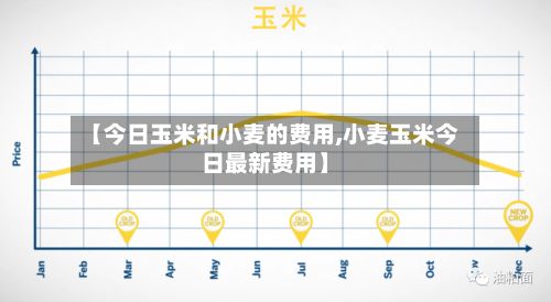 【今日玉米和小麦的费用,小麦玉米今日最新费用】